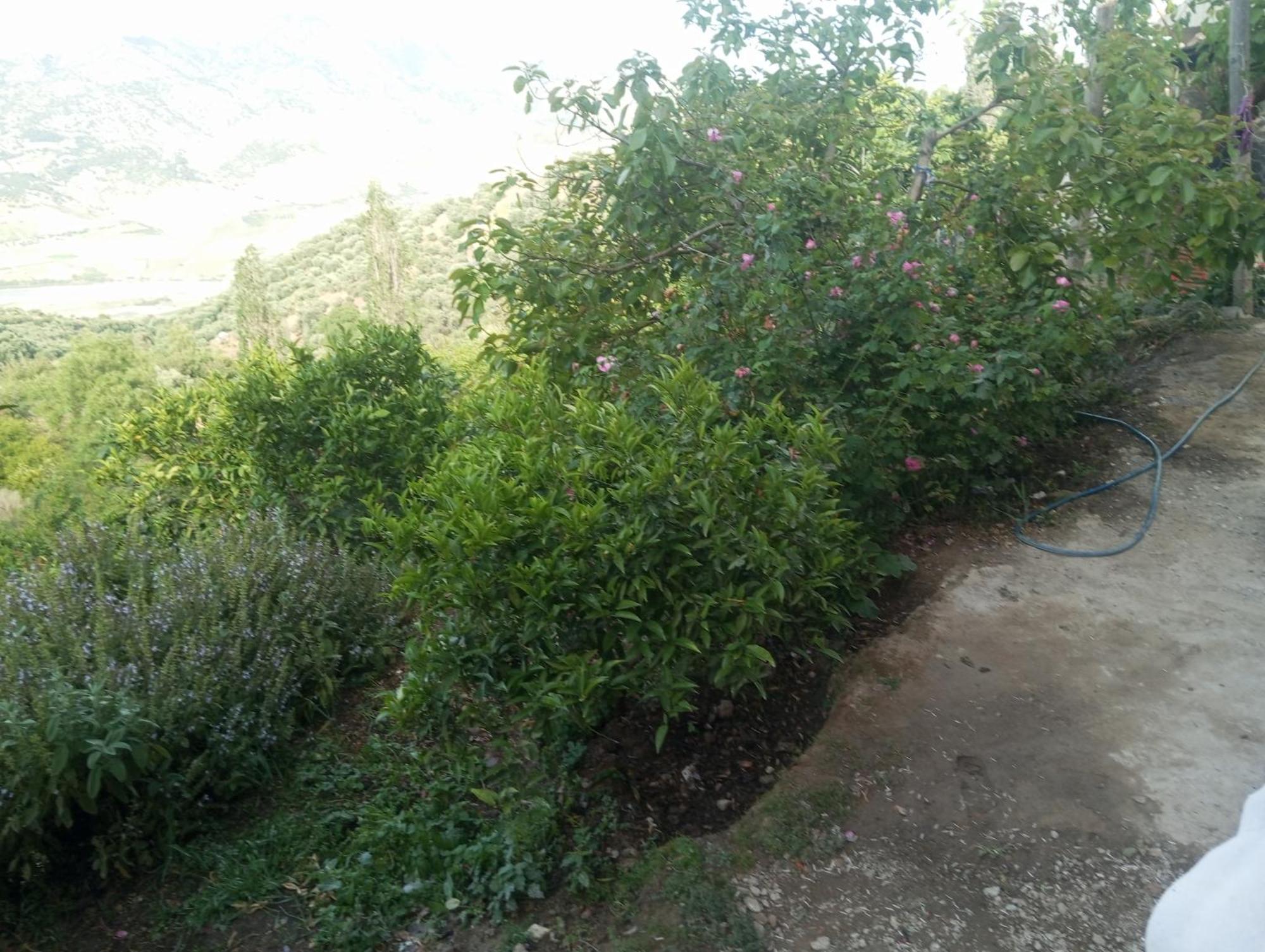 דירות Douar Ain Bouchrik Dar Lala Zhour מראה חיצוני תמונה